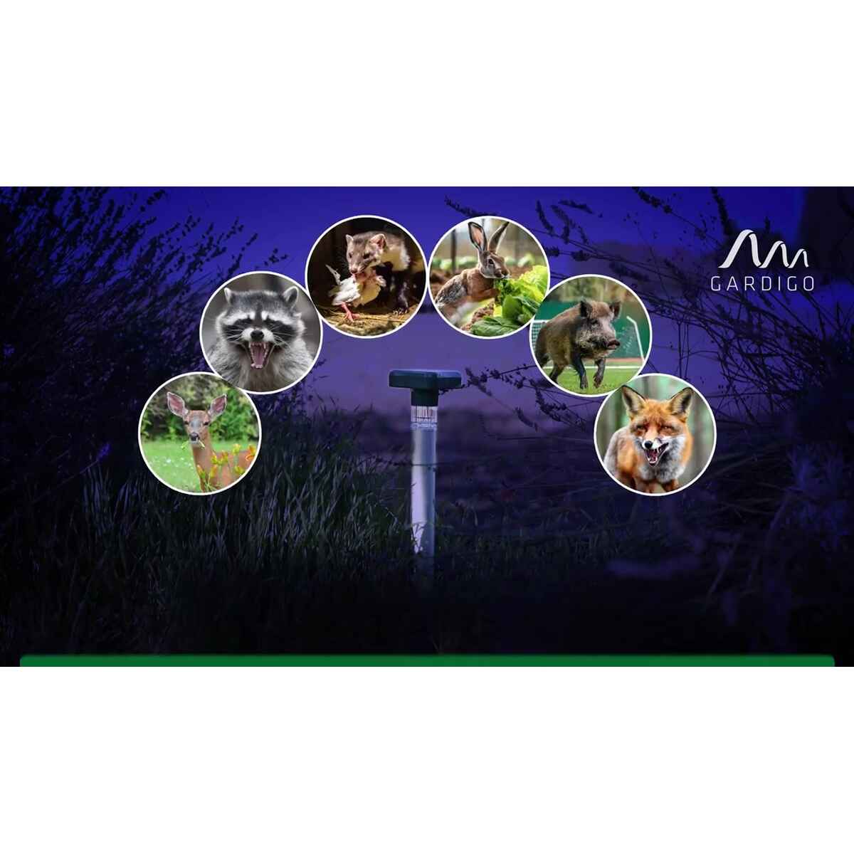 4He-c_ZFA7N8N7A98TKMqj.jpeg&amp;width=1200&amp;height=1200&amp;effects=pad(CC,ffff)&amp;quality=40