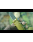 45nLr-1mno_k7DdhNpYvjz.jpeg&width=1200&height=1200&effects=pad(CC,ffff)&quality=40