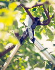 p2018455_d11_v2.jpg&width=1200&height=1200&effects=pad(CC,ffff)&quality=40
