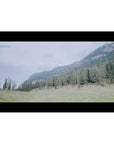 3qyG5YDB3c8ePzTibTg4xz.jpeg&width=1200&height=1200&effects=pad(CC,ffff)&quality=40