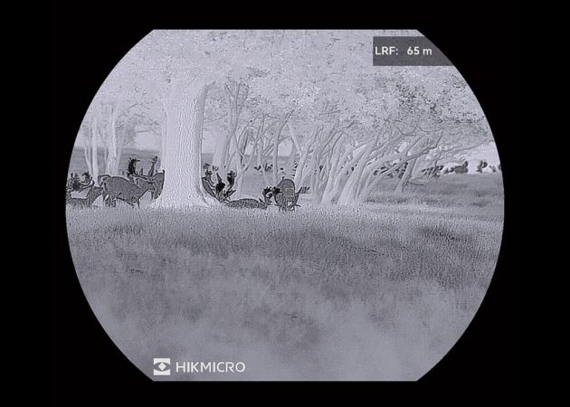 thermal_imaging_rifle_scope_hikmicro_stellar_3.0_sq50l_11.jpg