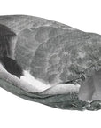 uv-slip-over-jacket-sillosocks-for-pigeon-12-pack-_1_.jpg