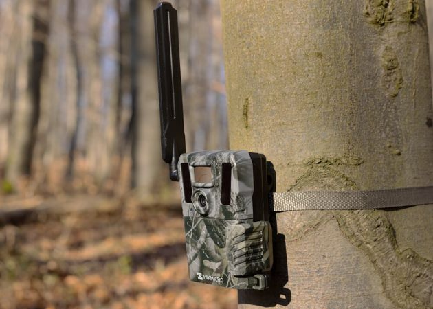 wildlife_camera_hikmicro_m15_6_.jpg