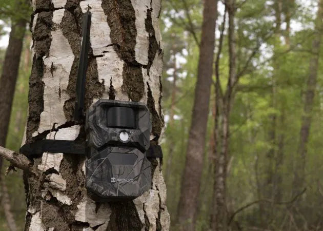 wildlife_camera_hikmicro_t16_13__1.jpg