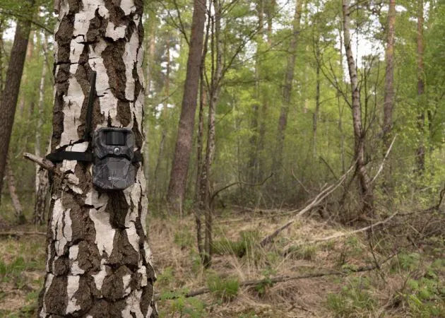 wildlife_camera_hikmicro_t16_14__1.jpg